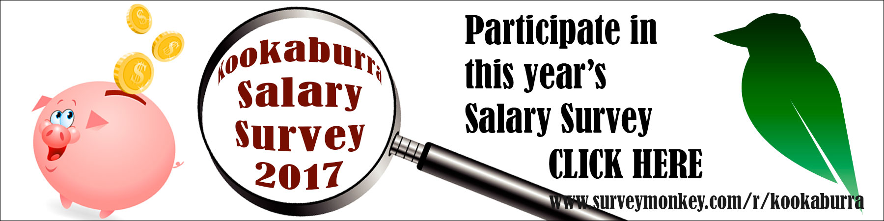 Kookaburra Salary Survey 2017