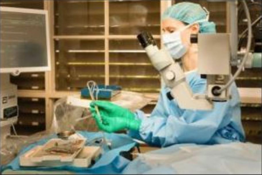 All Animal Eye Services Vet Suppliers Directory