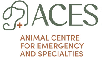 ACES Logo