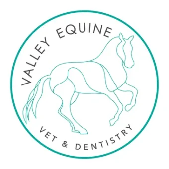 Valley Equine Vet & Dentistry Logo