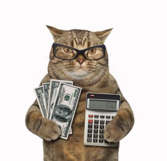 ai generated cat holding money and a calculator and wearing glasses