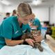 Applied Vocational Training