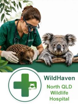 Wildhaven