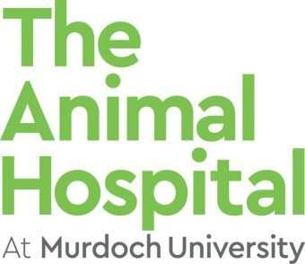 The Animal Hospital at Murdoch University Logo